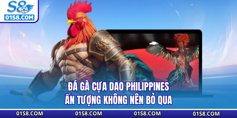 Trận đấu đá gà cựa dao hấp dẫn được tổ chức tại Philippines